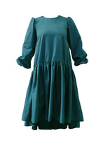 Load image into Gallery viewer, Blue Faia