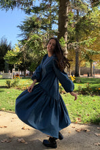 Load image into Gallery viewer, Blue Faia