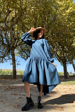 Load image into Gallery viewer, Blue Faia