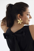 Load image into Gallery viewer, Lírio