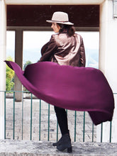 Load image into Gallery viewer, Pegasi