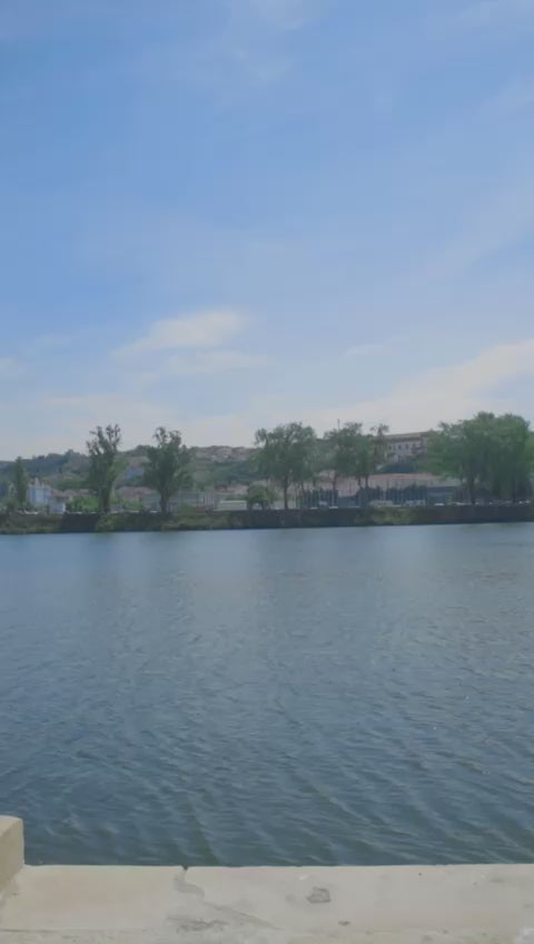 Lótus
